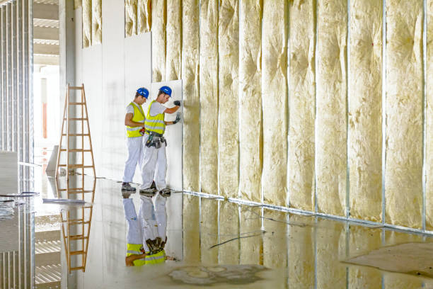 Best Spray Foam Insulation  in Chadbourn, NC